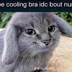 Meet your Posher, Bryce c